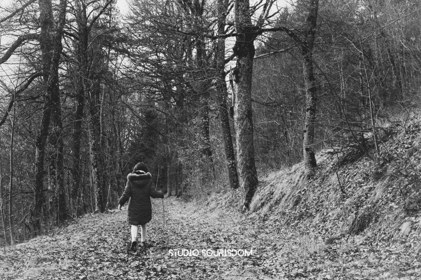 Photo d'illustration du Studio Sourisdom