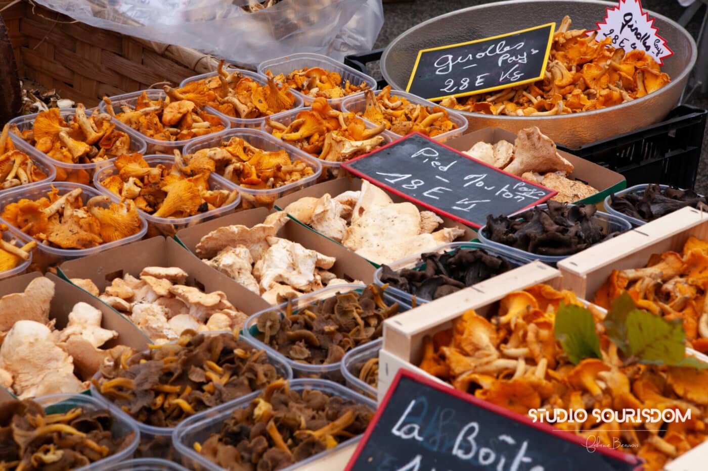 Etalage de champignons frais lors de la foire au champignons à Saint-Bonnet-le-Froid (Haute-Loire)