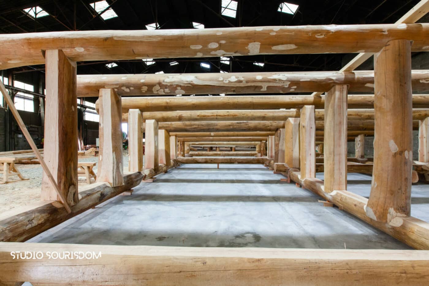 Photos pour les professionnels de la filière bois (Neologis)
