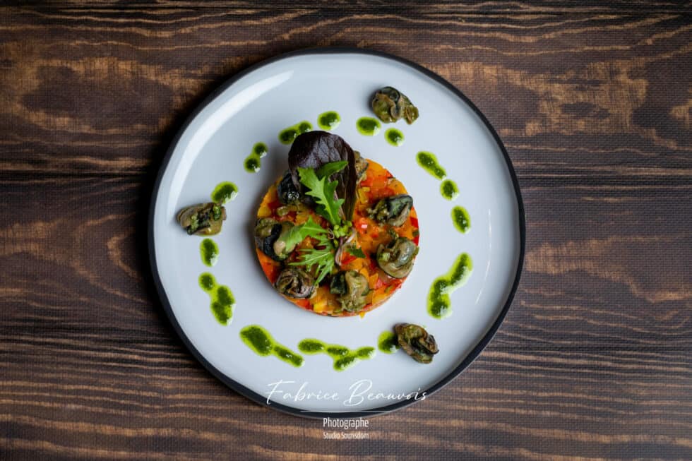 Vue aérienne d'une entrée au restaurant La Tour à Dunières avril 2022