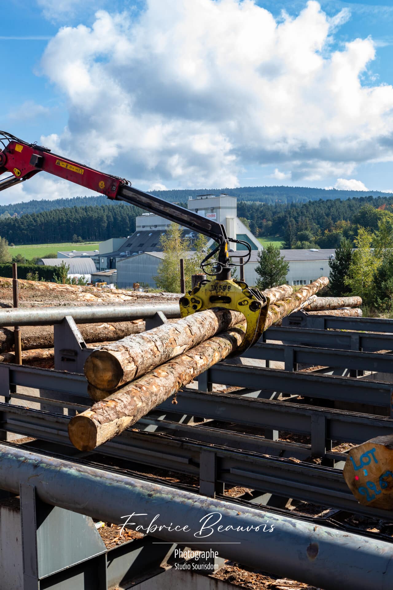 Déchargement des troncs d'arbres par un grumier avant l'opération d'écorçage et de coupe