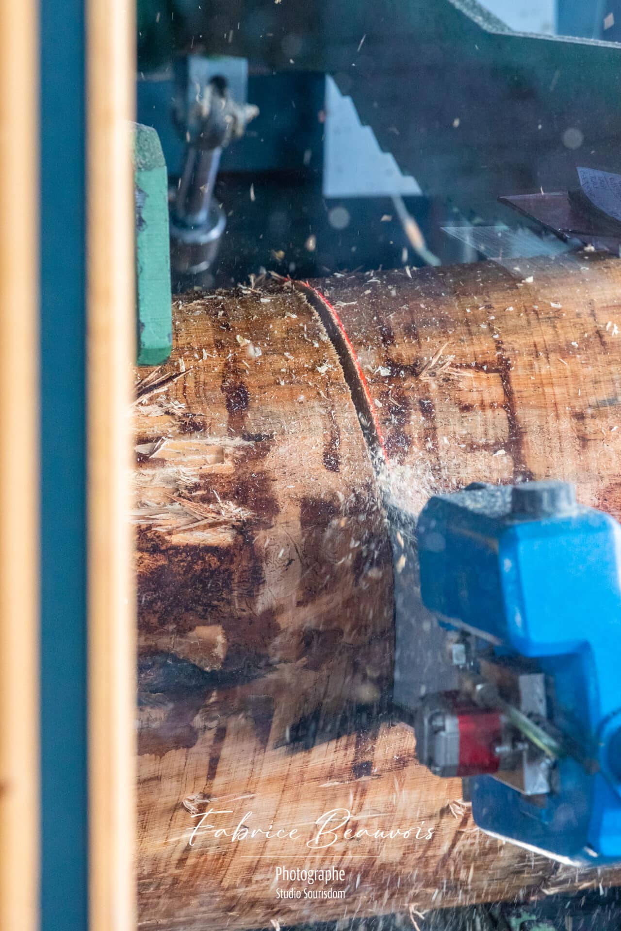 Découpe d'un tronc avec indication au laser pour une découpe parfaite par la tronçonneuse