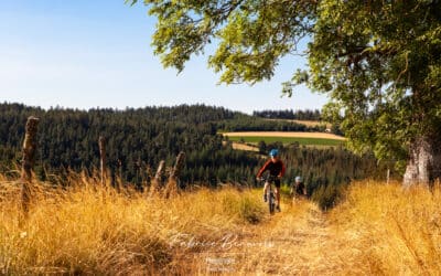 Valorisation chemins vtt